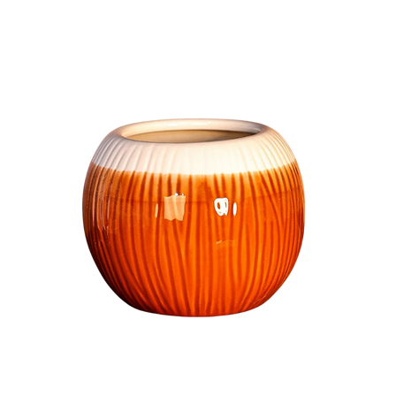 Tiki Mug — Coconut Shell 600ml