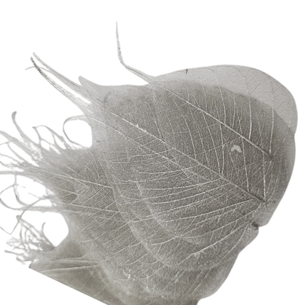 Dried Leaves (bag 10pcs)