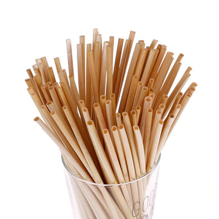 Bamboo straws (100 pis)