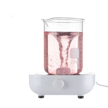 Magnetic Stirrer Mini