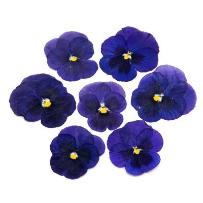 Dried flowers blue (set 20 Pcs)