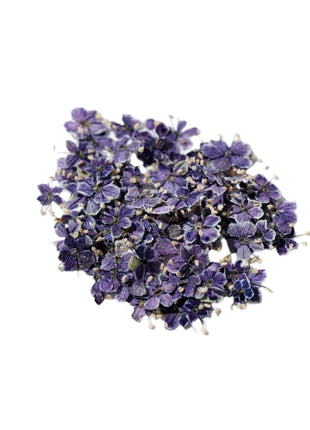 Dried flowers purple (set 20 Pcs)