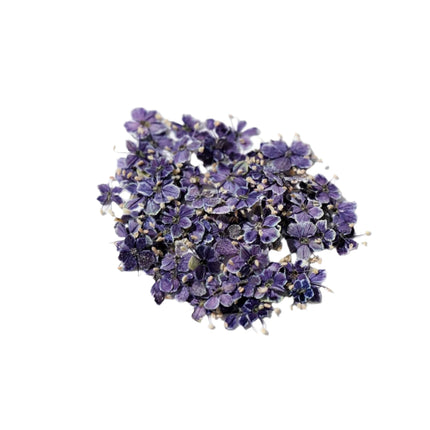 Dried flowers purple (set 20 Pcs)