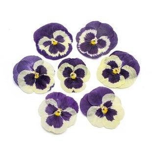Dried flowers purple (set 20 Pcs)