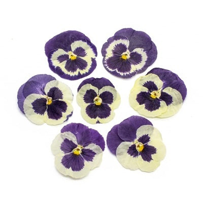 Dried flowers purple (set 20 Pcs)