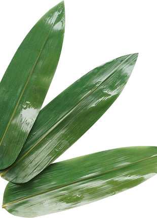 Bamboo Leafs (100Pcs 1 bag)