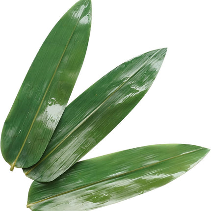 Bamboo Leafs (100Pcs 1 bag)