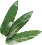 Bamboo Leafs (100Pcs 1 bag) | Cocktail Ceremony