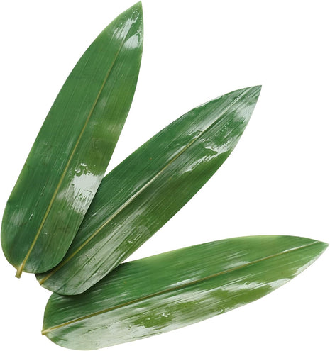 Bamboo Leafs (100Pcs 1 bag) | Cocktail Ceremony