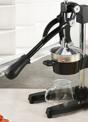 Iron manual juicer