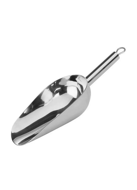 Ice scoop