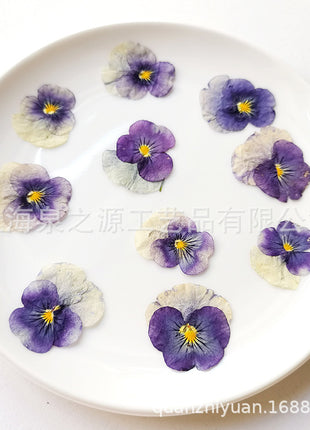 Dried flowers purple (set 20 Pcs)