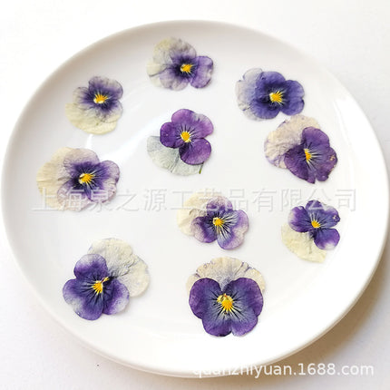 Dried flowers purple (set 20 Pcs)