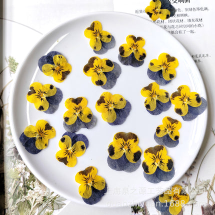 Dried flowers yellow (set 20 Pcs)