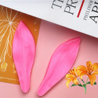 pink / Big Lily