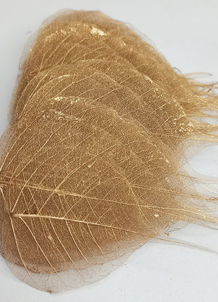Dried Leaves (bag 10pcs)