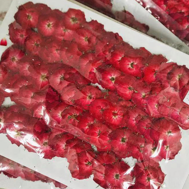 DIY Dried Flower (bag 50 Pcs)