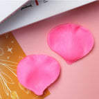 pink / Rose