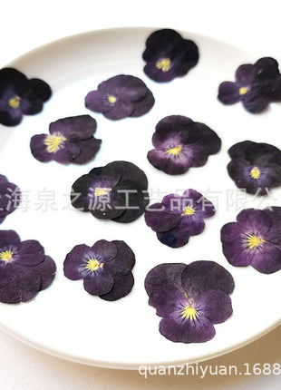 Dried flowers purple (set 20 Pcs)