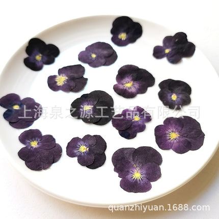 Dried flowers purple (set 20 Pcs)
