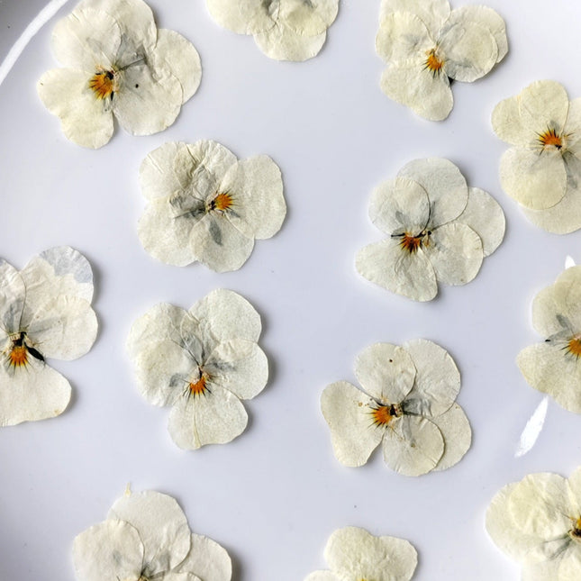 Dried flowers white (set 20 Pcs)