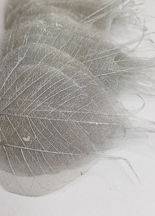 Dried Leaves (bag 10pcs)