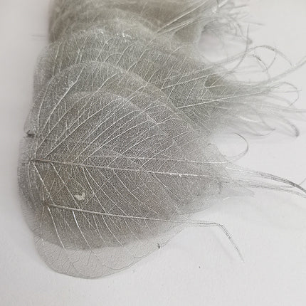 Dried Leaves (bag 10pcs)