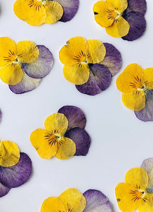 Pressed yellow and purple flowers on a white plate with text overlay