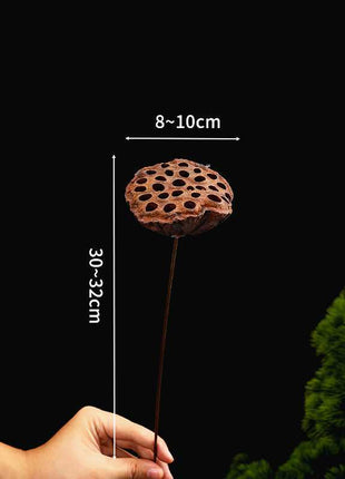 Dried Lotus