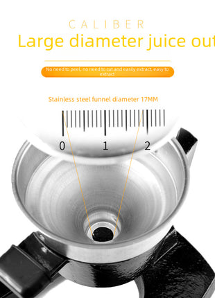 Iron manual juicer