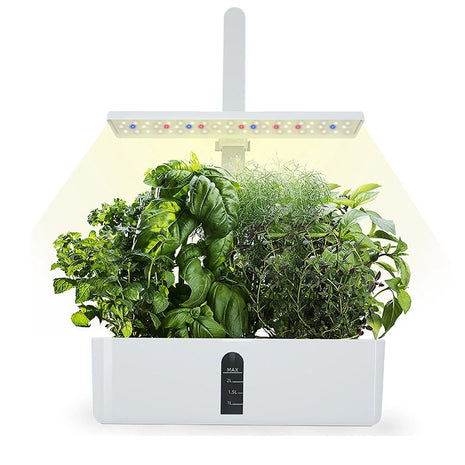 Smart Hydroponic System, view 2 | Cocktail Ceremony