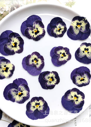 Dried flowers blue (set 20 Pcs)