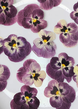 Pressed purple and yellow flowers on a white plate with a floral background