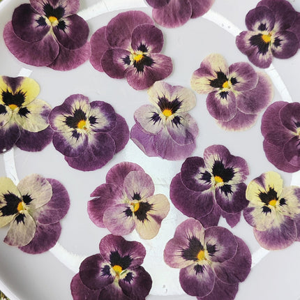 Pressed purple and yellow flowers on a white plate with a floral background