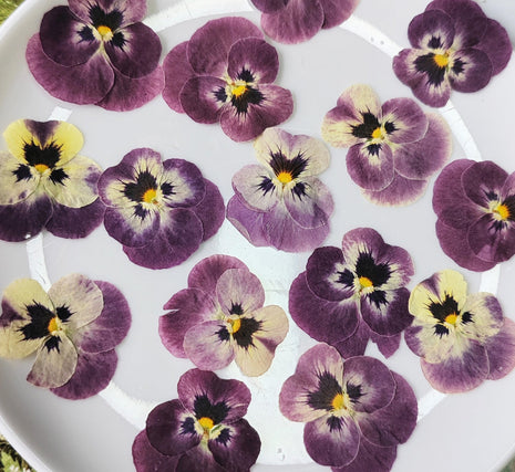Pressed purple and yellow flowers on a white plate with a floral background | Cocktail Ceremony