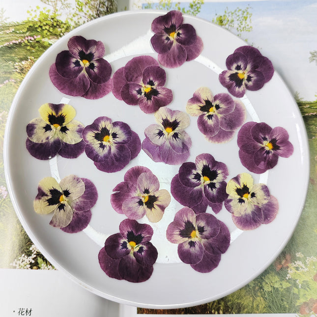 Dried flowers purple (set 20 Pcs)