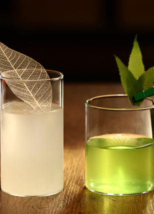 Skeleton leaves / Magnolia leaves (set 10 Pcs)
