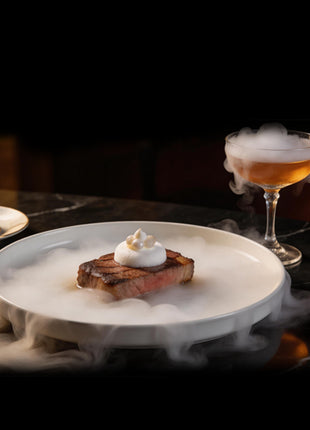 molecular gastronomy smoke machine
