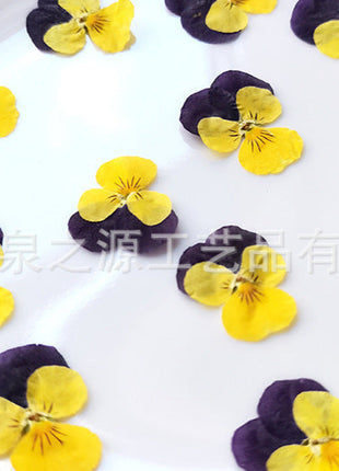 White plate with yellow and purple flowers arranged in a circular pattern