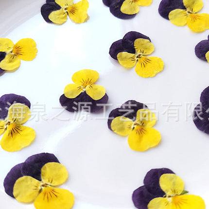 White plate with yellow and purple flowers arranged in a circular pattern