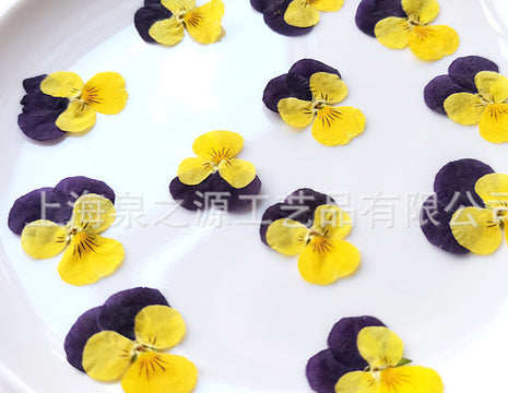 White plate with yellow and purple flowers arranged in a circular pattern | Cocktail Ceremony