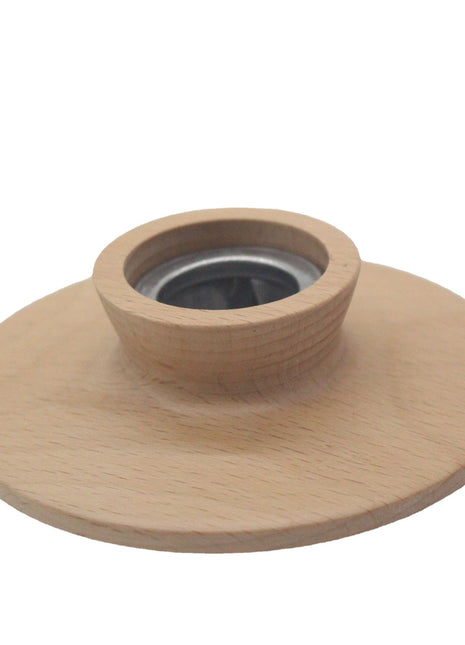 Wood Smoker (UFO)