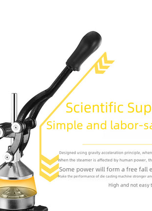 Iron manual juicer