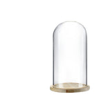 Glass  hood