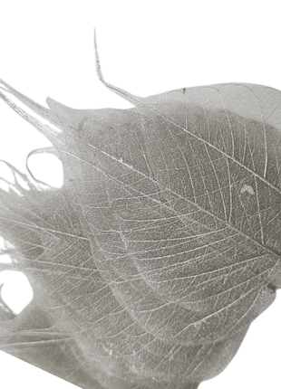 Dried Leaves (bag 10pcs) - Cocktail Ceremony