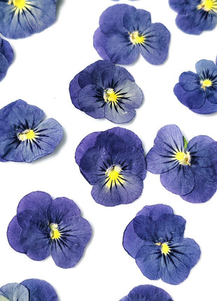 Pressed blue flowers with yellow centers on a white plate