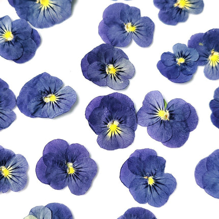 Pressed blue flowers with yellow centers on a white plate