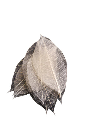 Two translucent leaves on a black background with text in Chinese.