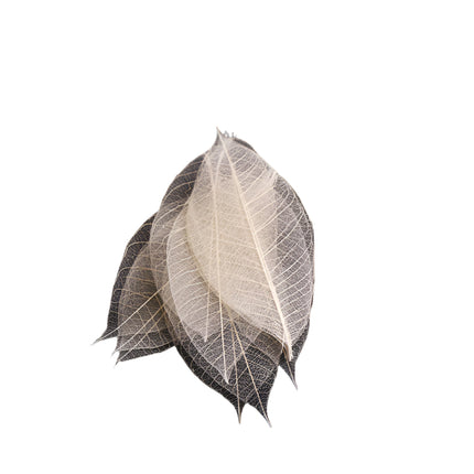 Two translucent leaves on a black background with text in Chinese.