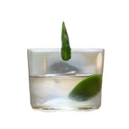 Short Rocks 210ml
